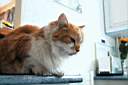 aut_2859.jpg