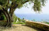 Vue depuis la maison du jardinier aux Colombi�res, photographie 1998.